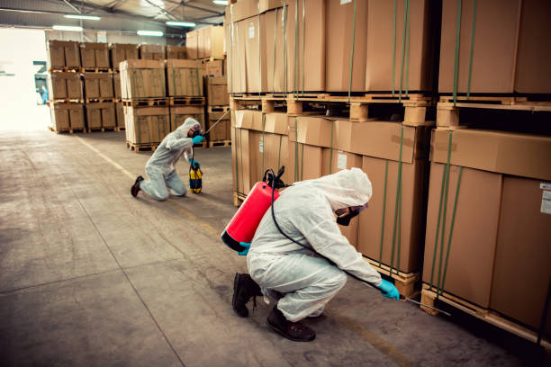 Best Local Pest Control Services  in Lake Delton, WI