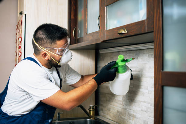 Professional Pest Control in Lake Delton, WI