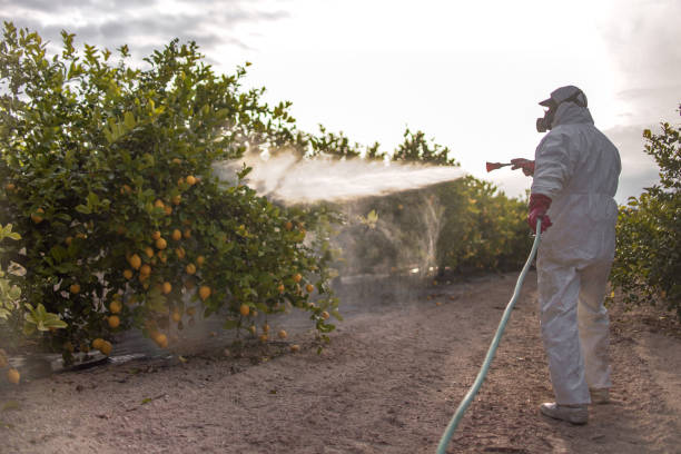 Best Pest Prevention Services  in Lake Delton, WI
