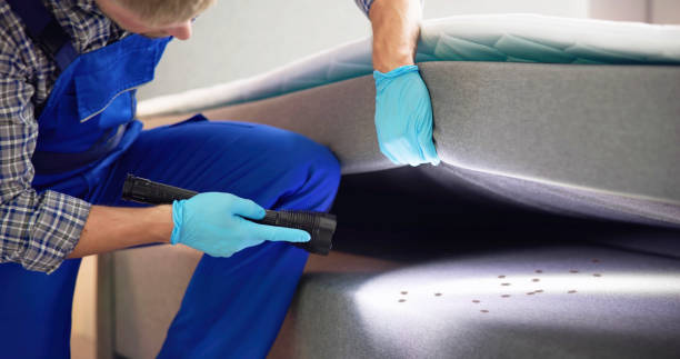 Best Flea Control Services  in Lake Delton, WI