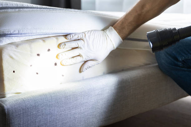 Pest Control Cost in Lake Delton, WI