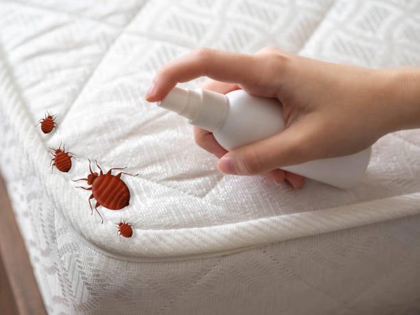 Best Bed Bug Extermination  in Lake Delton, WI