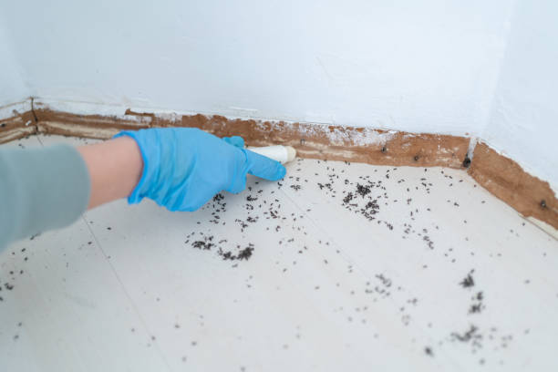 Best Mosquito Control Services  in Lake Delton, WI